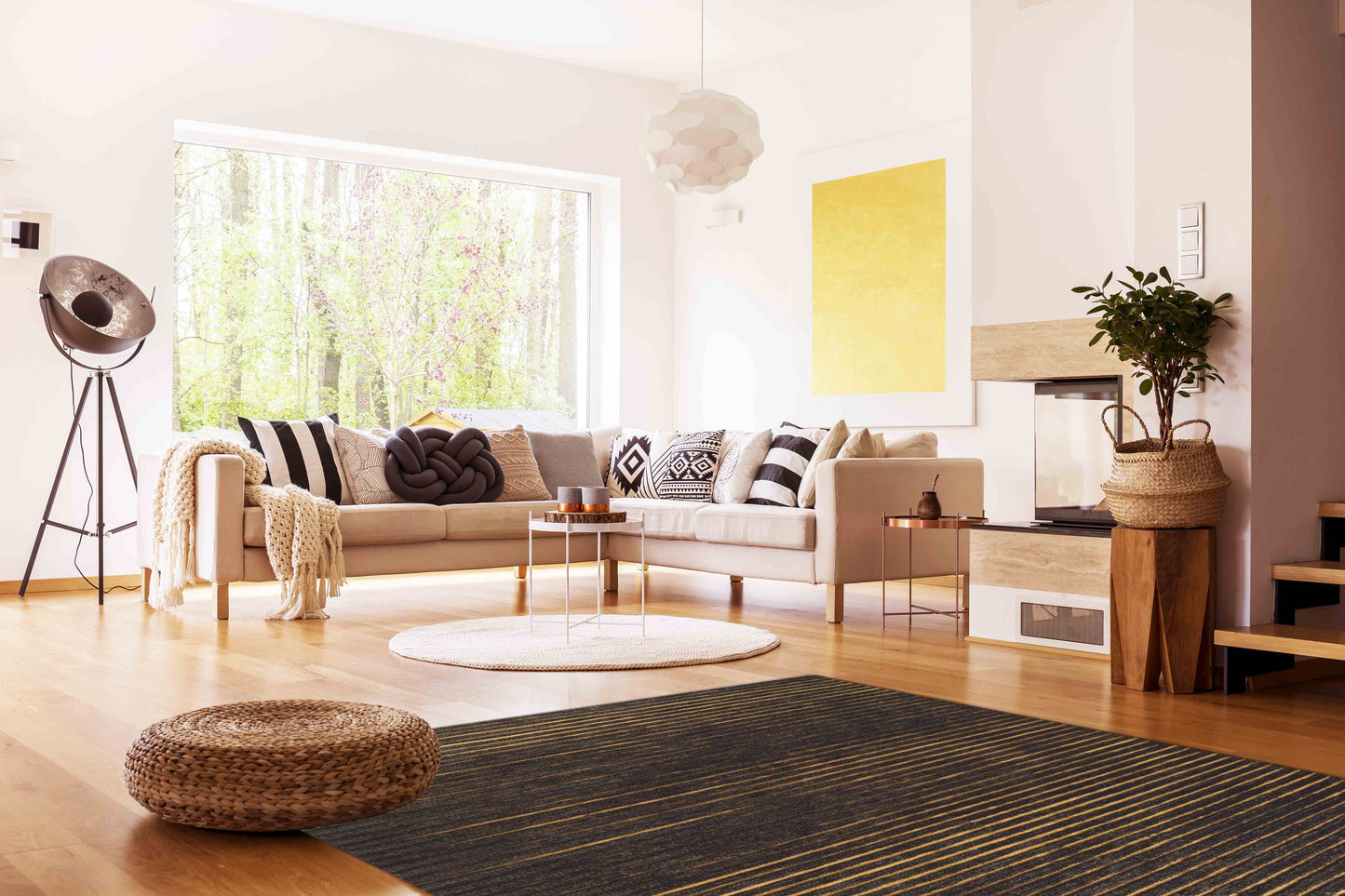 Area rug, rug in USA, area rug in USA, rug runner, target rug, bedroom for area rug, area rug for living room, white area rug, area mat