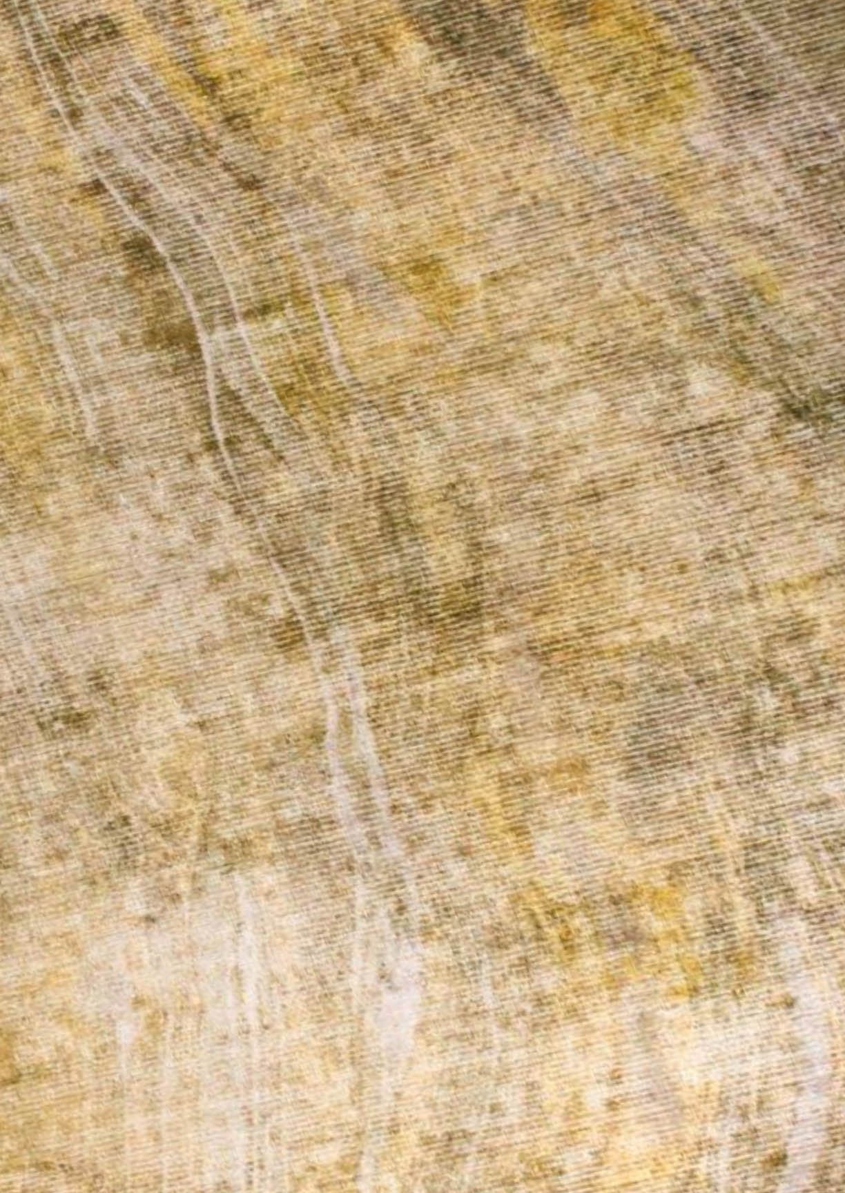 Contemporary Modern Stylist Shah Reno Soft Grey Area Rug Carpet
