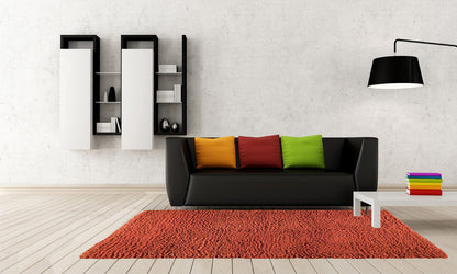 Area rug , rug in usa , area rug in usa , rug runner , target rug , bed room for area rug , area rug for living room
