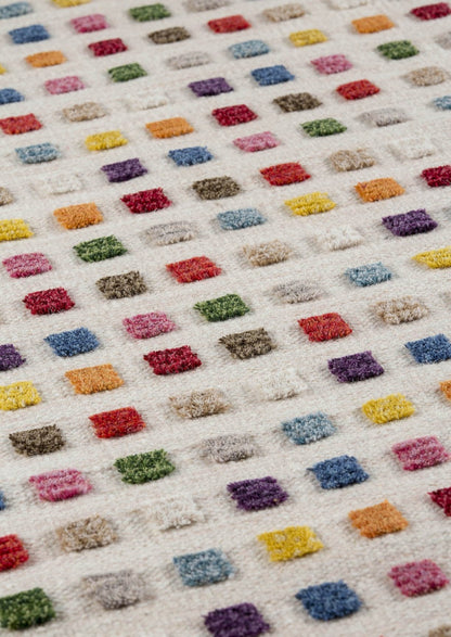 Hand-Woven High Low Geometric Border Khema1 Brown/Multi Area Rug Carpet