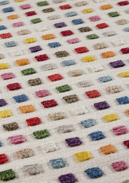 Hand-Woven High Low Geometric Border Khema1 Brown/Multi Area Rug Carpet