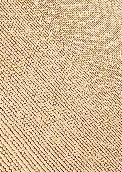 Hand-Woven Loop Texture look Ladhak Beige Area Rug Carpet