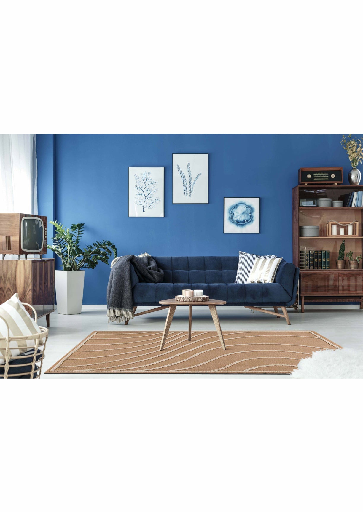 contemporary rug,cream rug, Area rug , rug in usa , area rug in usa , rug runner , target rug , bed room for area rug , area rug for living room, Mat Living Area Rug in usa