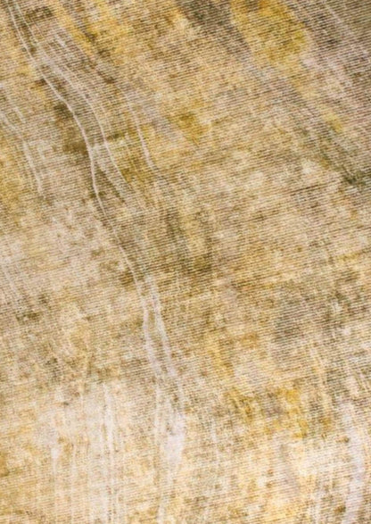 Contemporary Modern Stylist  Shah Reno  Soft Grey Area Rug Carpet