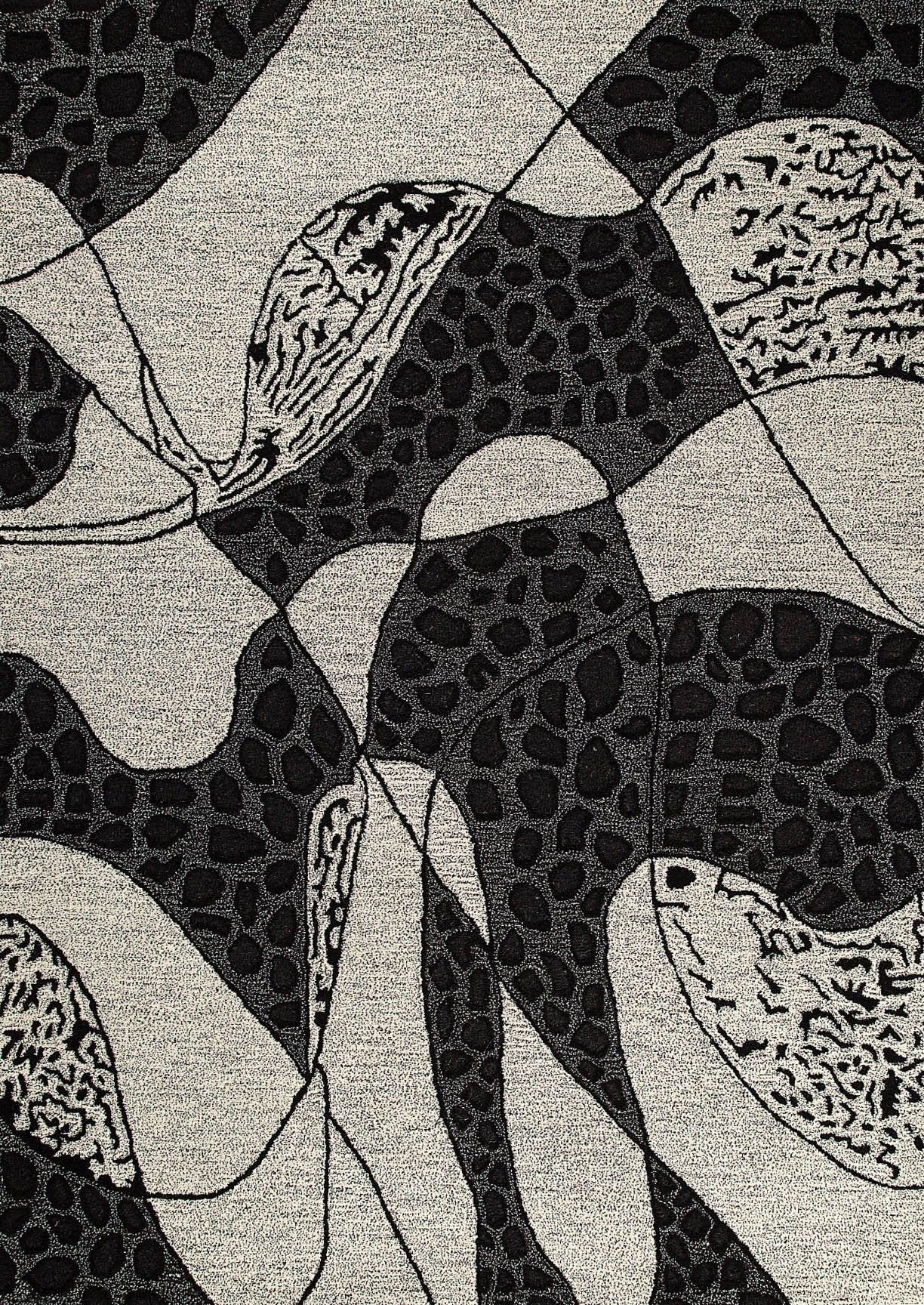 Hand-Tufted Abstract Riddle Nova Riddle Black/White Area Rug Carpet